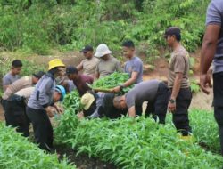 Tanamkan Budaya Hidup Sehat, Polres Benteng Tanam Sayuran Organik