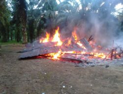 Rumah Warga Desa Pondok Kelapa Dilalap Si Jago Merah