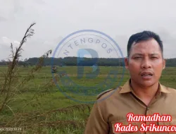 Terdampak Kekeringan, Ratusan Hektar Sawah di Desa Srikuncoro Gagal Panen