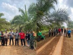 Pembukaan Jalan Usaha Tani di Desa Batu Raja, Ini Harapan Kades